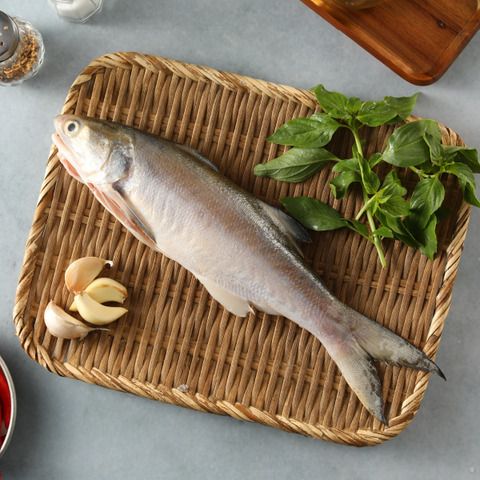 鮮美急凍午仔魚