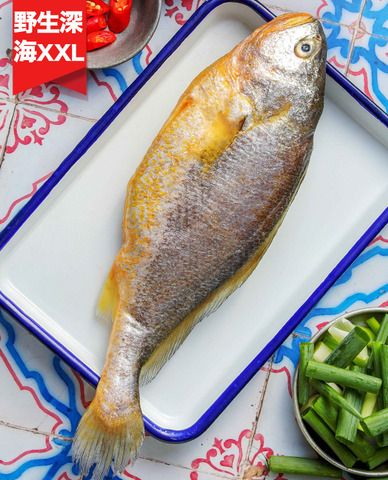 極品深海野生黃魚